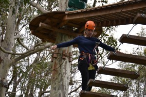 jabobs balance ladder on tree tops ropes course