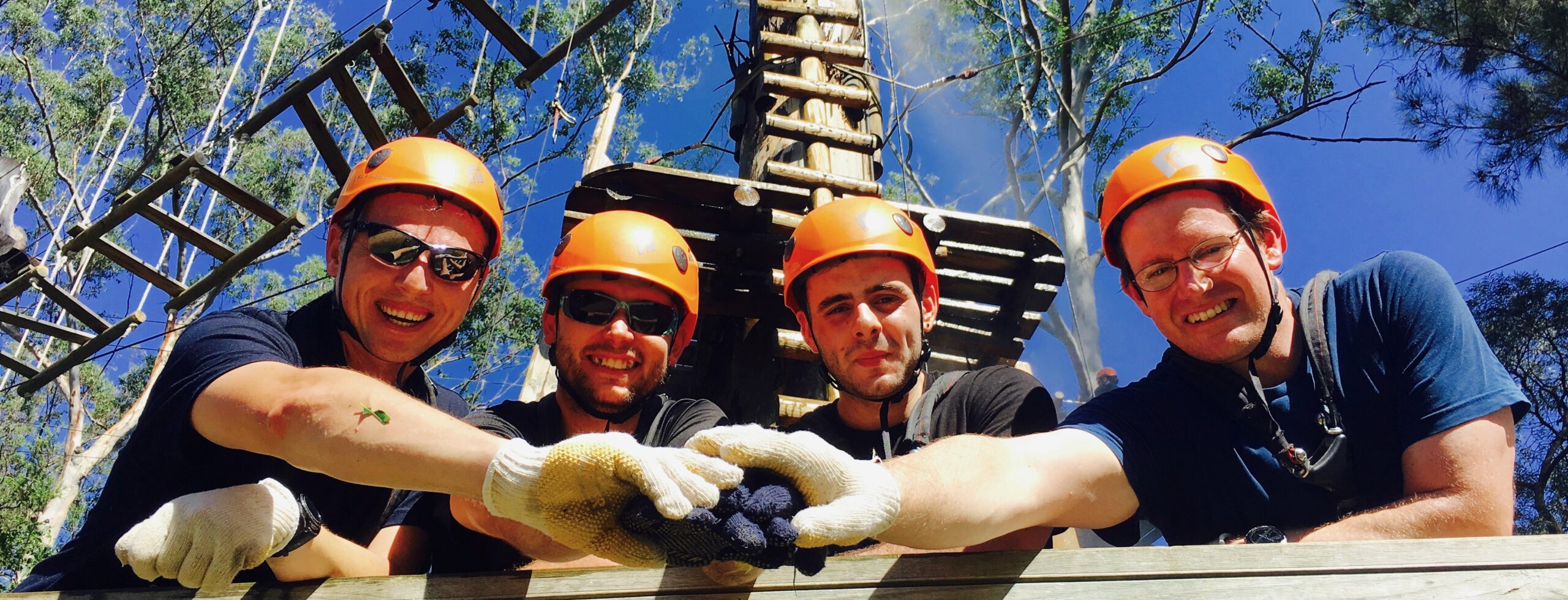 team building staff support networks that harness teams energies